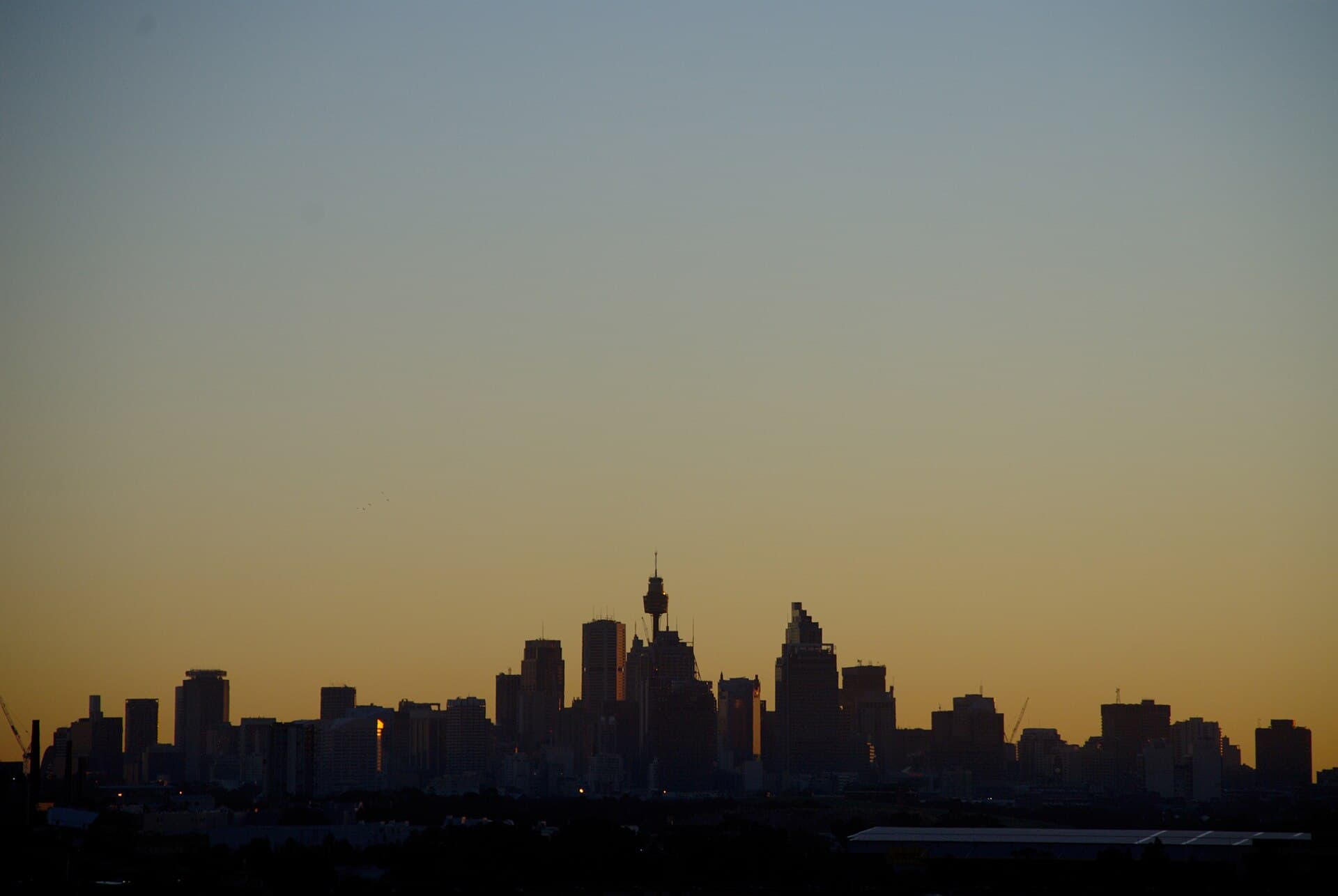 The Sydney city skyline in silhouette against an orange dawn sky