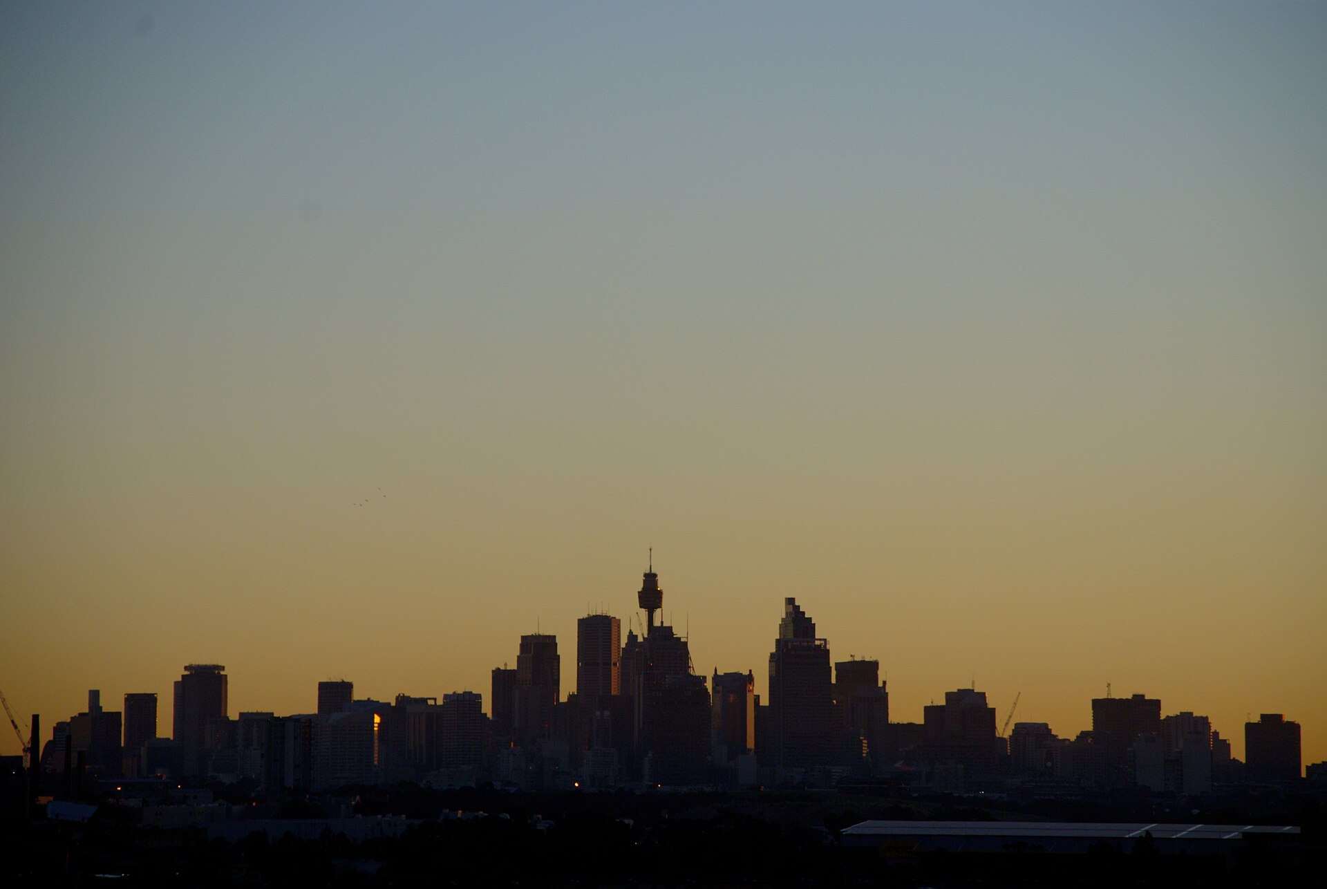 The Sydney city skyline in silhouette against an orange dawn sky